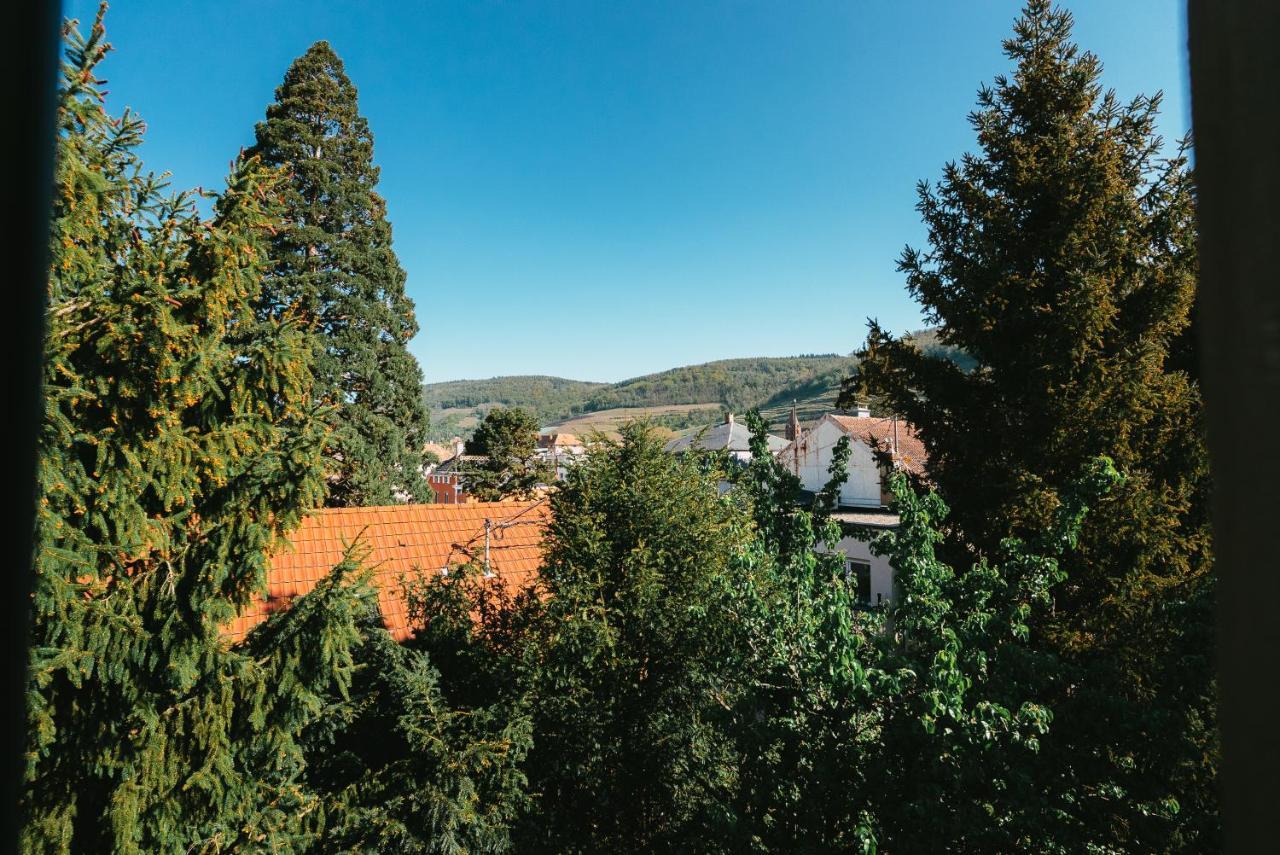 Domaine Boheme I Art De Vivre Lägenhet Guebwiller Exteriör bild