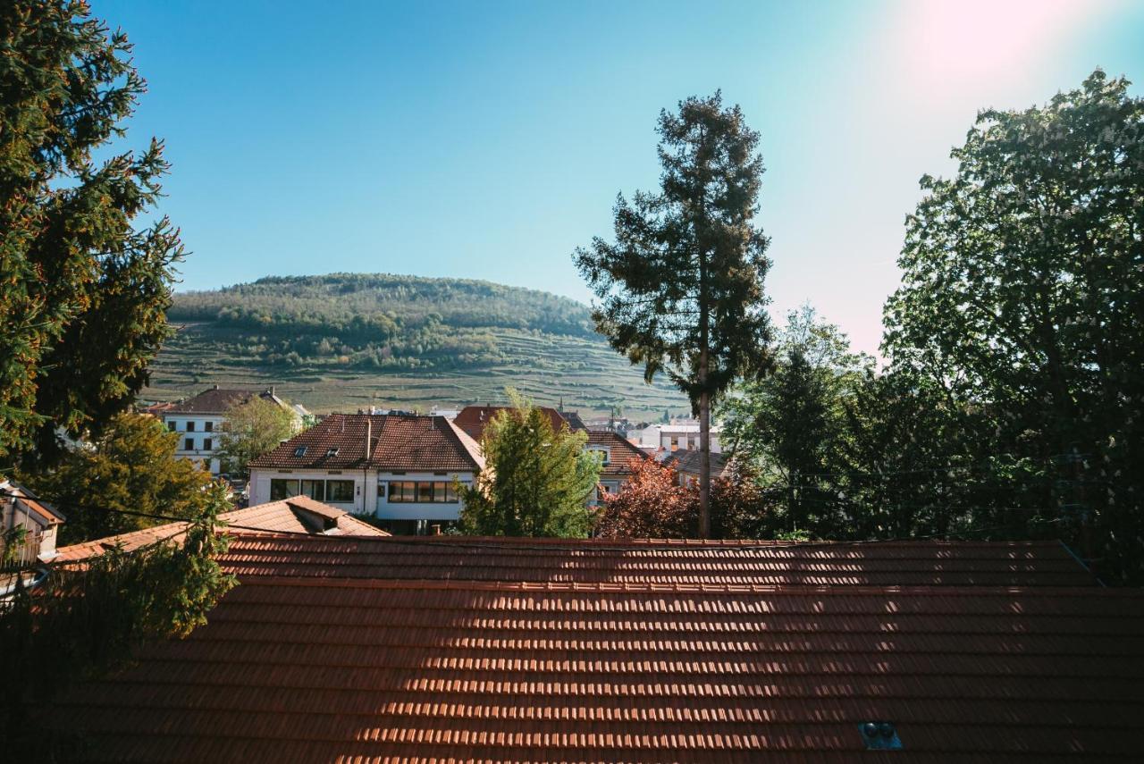 Domaine Boheme I Art De Vivre Lägenhet Guebwiller Exteriör bild